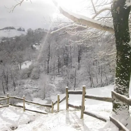 Alpesi faház Pradones *