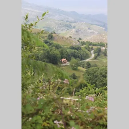 Alpesi faház Pradones *