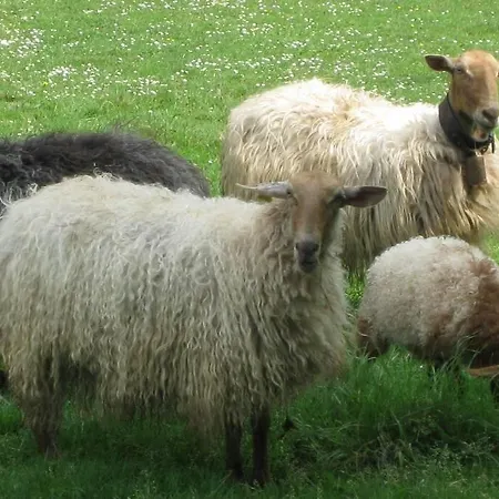 Pradones * San Roque de Ríomiera
