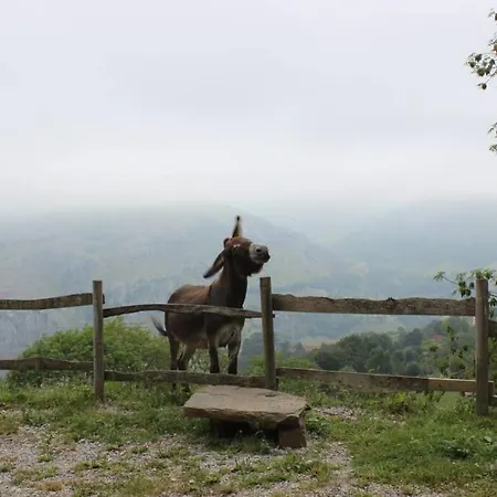 Domek alpejski Pradones *