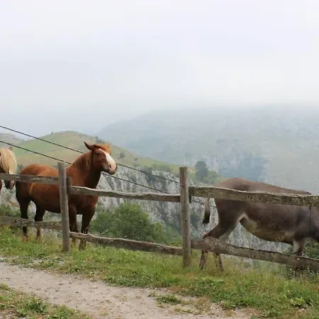 Domek alpejski Pradones