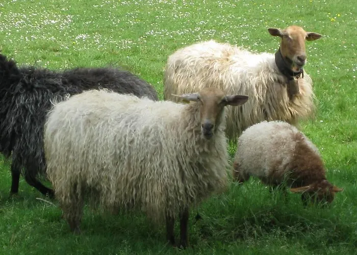 Pradones * San Roque de Ríomiera